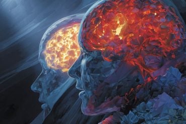This shows the outline of two heads and a brain.