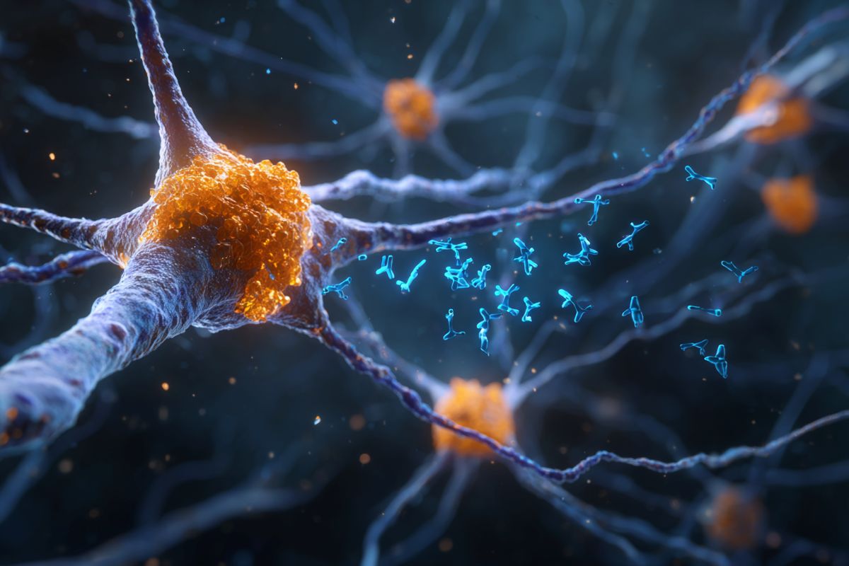This shows neurons.