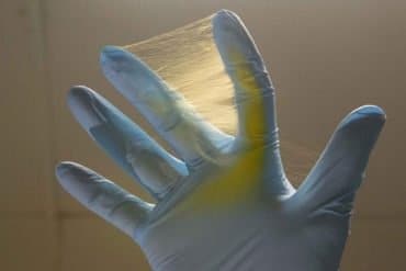 This shows the mesh used in this glioblastoma study.