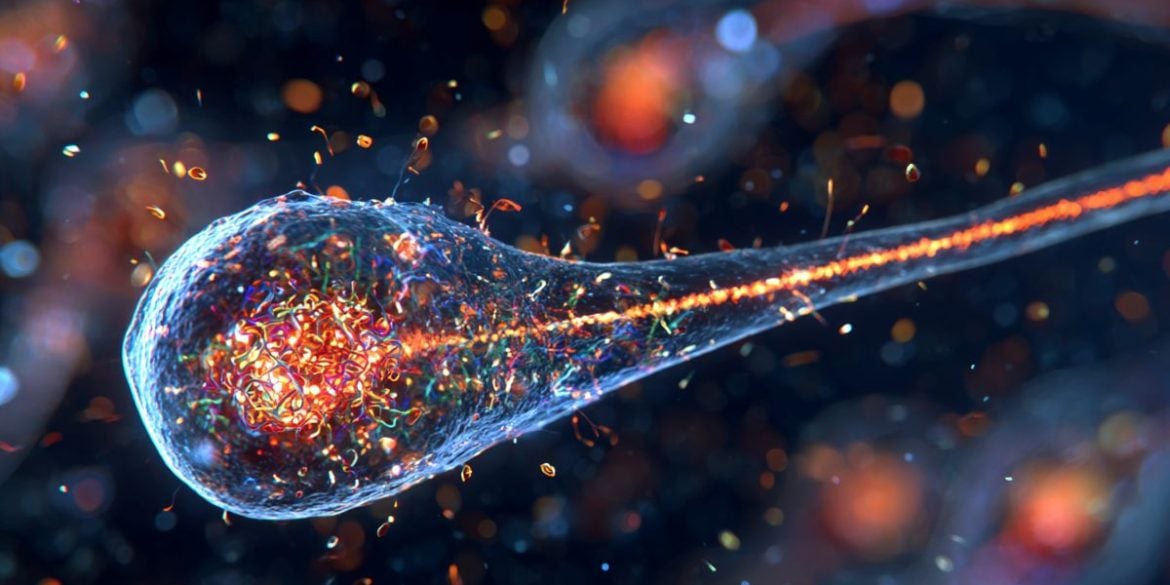 This is a generated image of a neural progenitor cell.