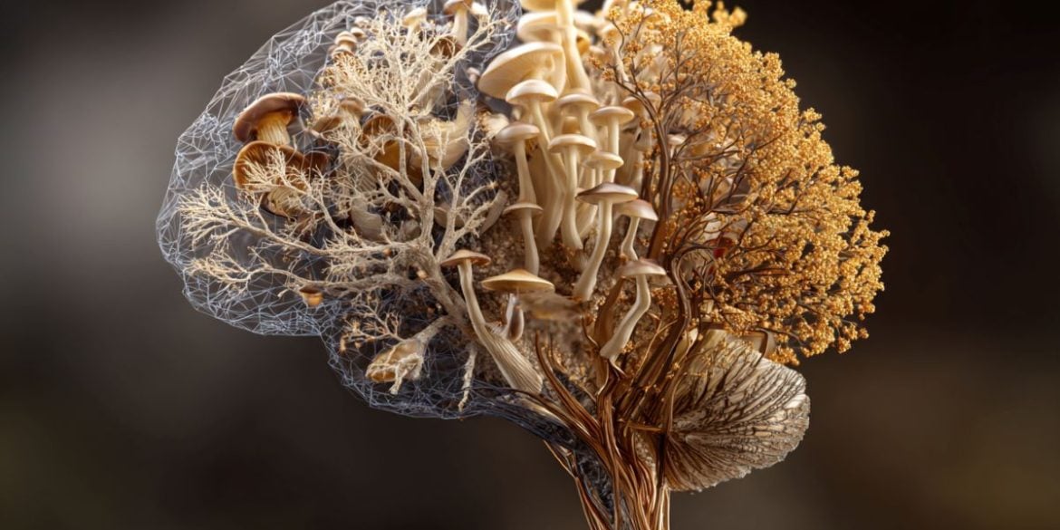 This shows a brain made of mushrooms.