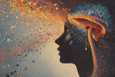 This shows a head and a mushroom.