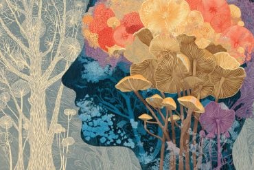 This shows a head and mushrooms.