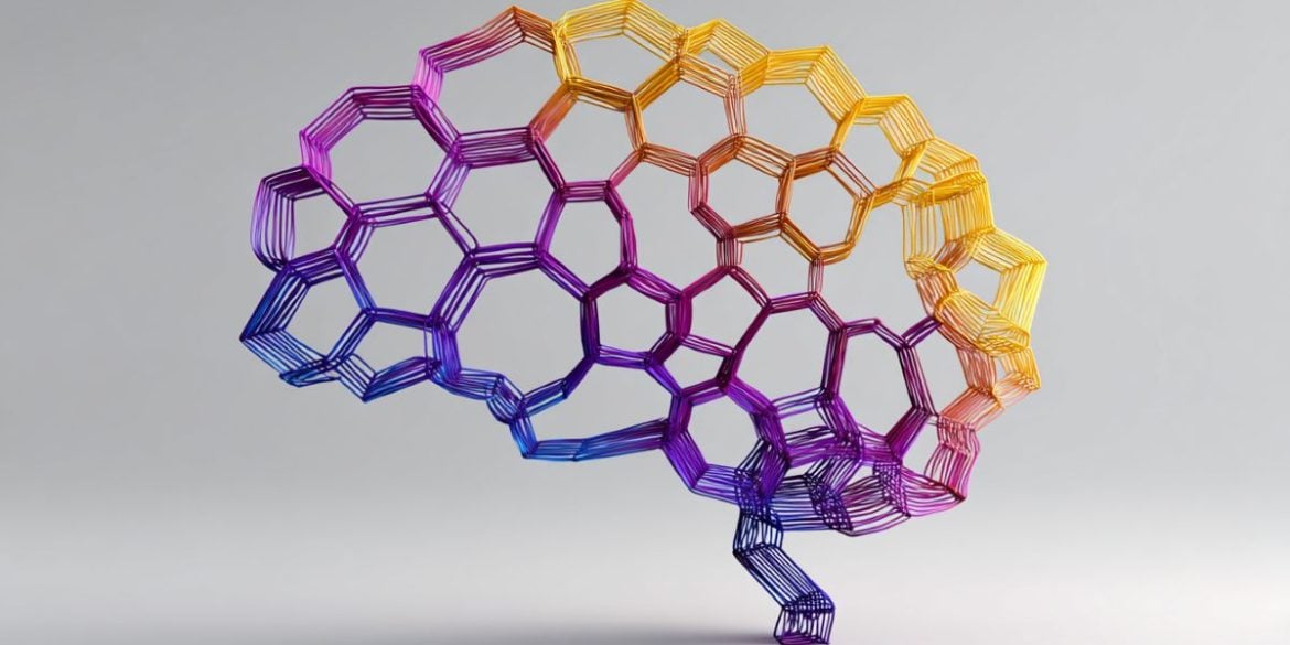 This shows a brain.
