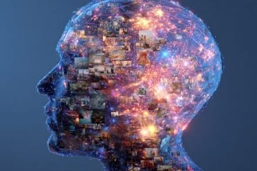 This shows the outline of a head made up of pictures.