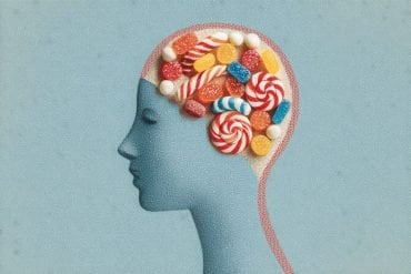 This shows a head made of candy.