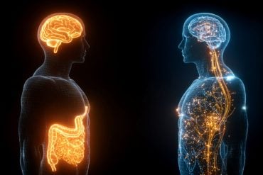 This shows the outline of two people and brains.