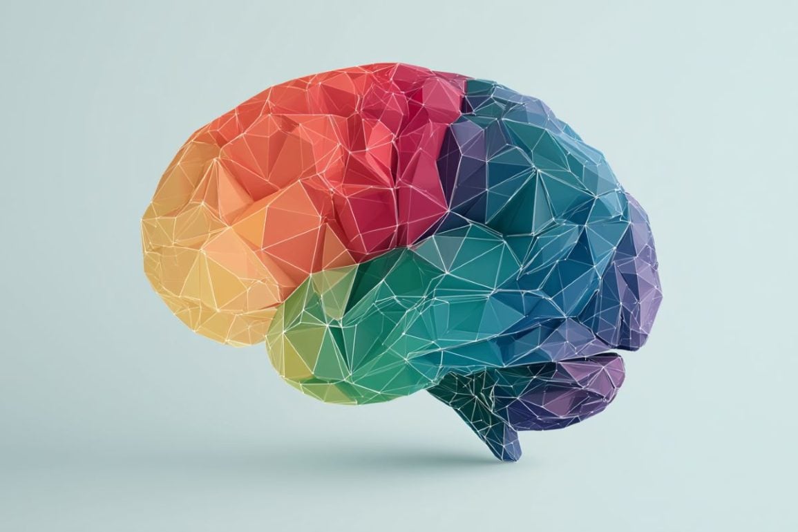 Attention Networks Predict Adult Language Learning Success