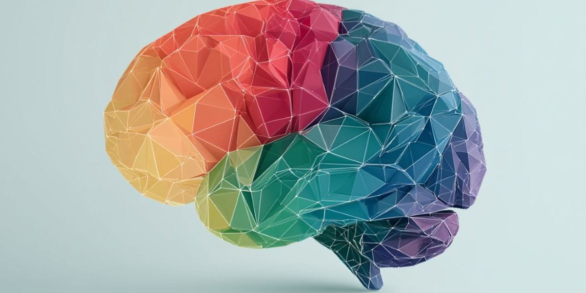 This shows a brain.