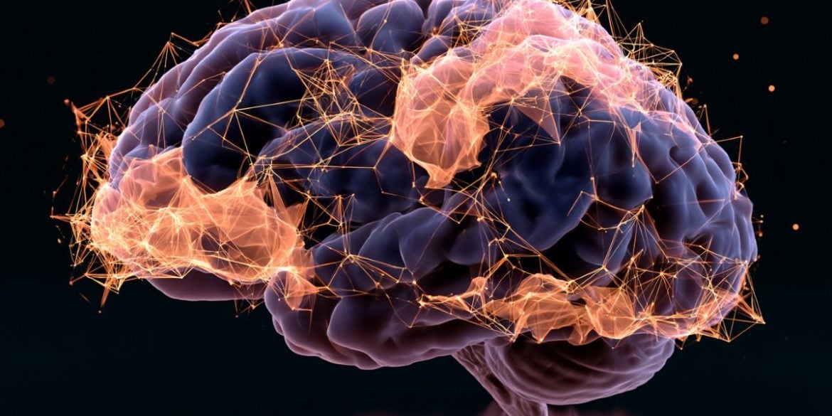 This shows a brain.