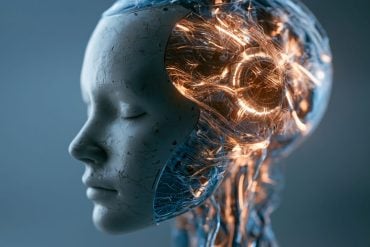 This shows a robotic head.