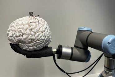 This shows a robotic hand holding a brain with the bci on top of it.