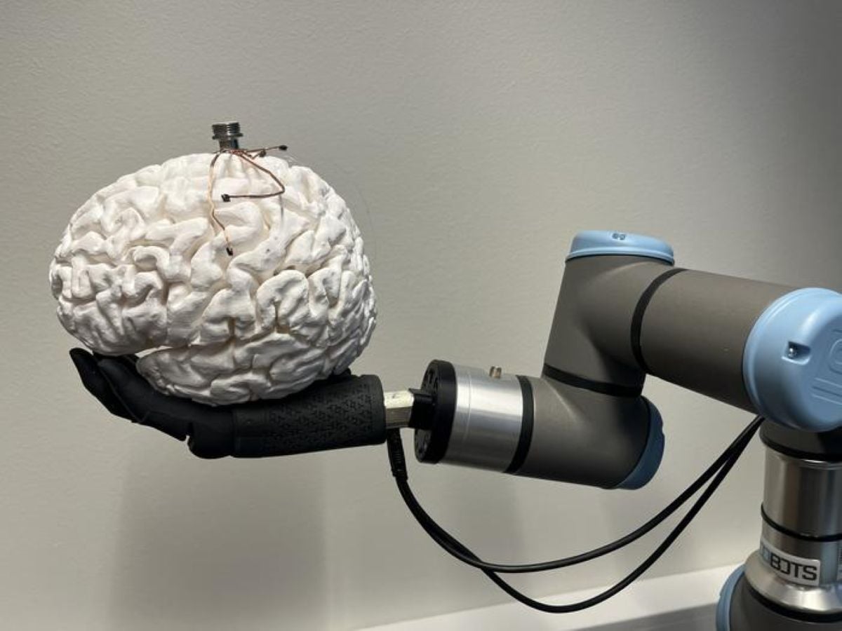 This shows a robotic hand holding a brain with the bci on top of it.