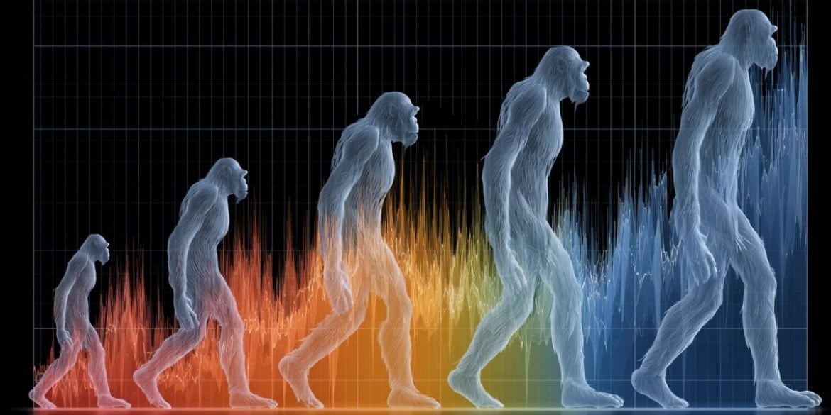 This shows the evolution of height.