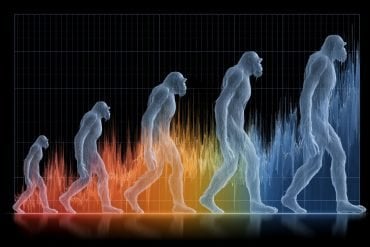This shows the evolution of height.