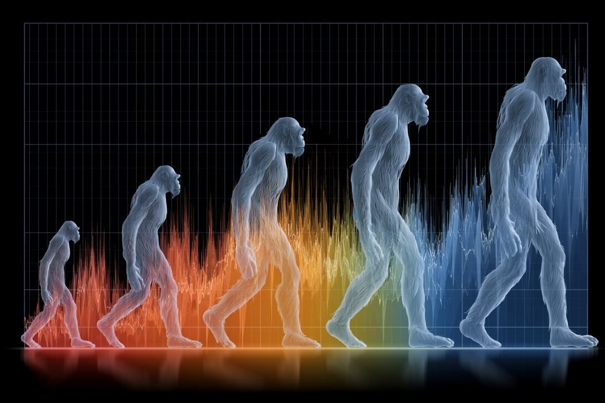This shows the evolution of height.