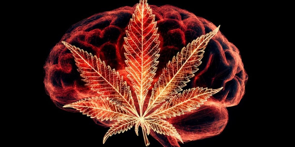 This shows a brain and a leaf.