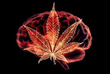This shows a brain and a leaf.