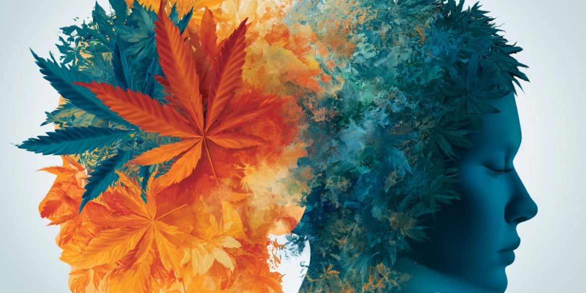 This shows two heads, one is made up of leaves.