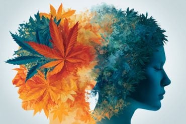 This shows two heads, one is made up of leaves.