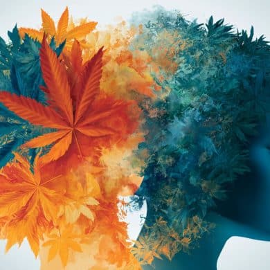 This shows two heads, one is made up of leaves.