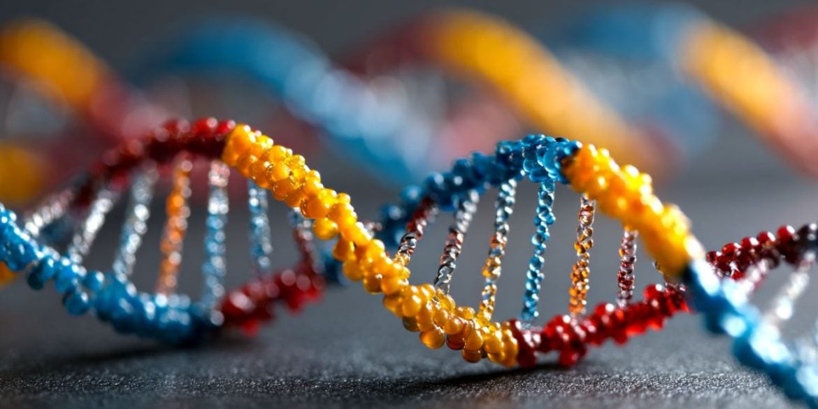 This shows DNA.
