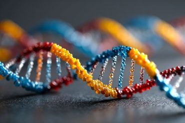This shows DNA.