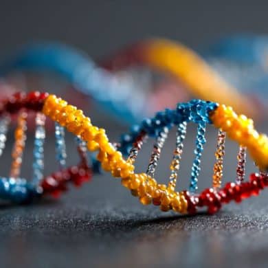 This shows DNA.