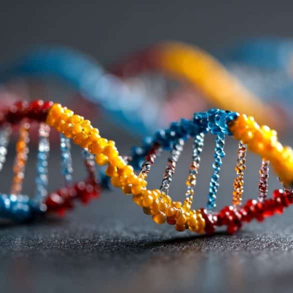 This shows DNA.