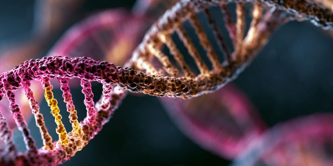 This shows DNA.
