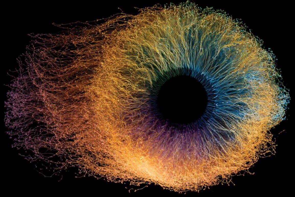 Mechanics of Color Vision Revealed