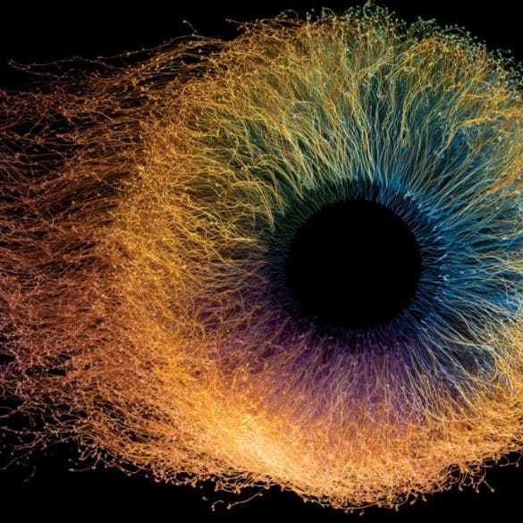This shows a colorful eye.
