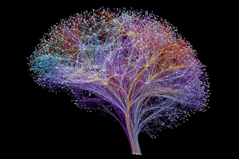 This shows a connectome of the brain.