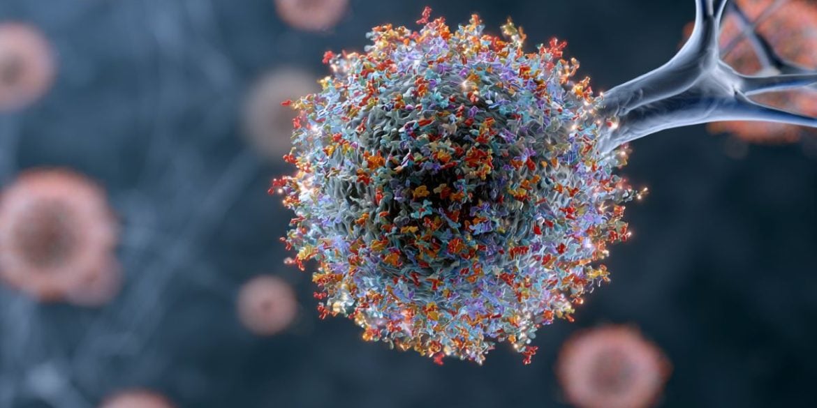 This shows a corona protein.