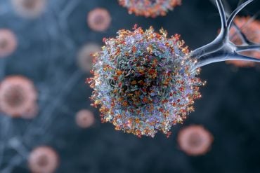 This shows a corona protein.