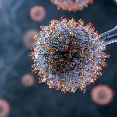 This shows a corona protein.