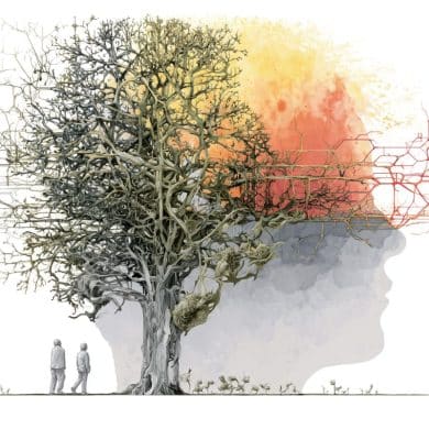 This shows a head and neurons.