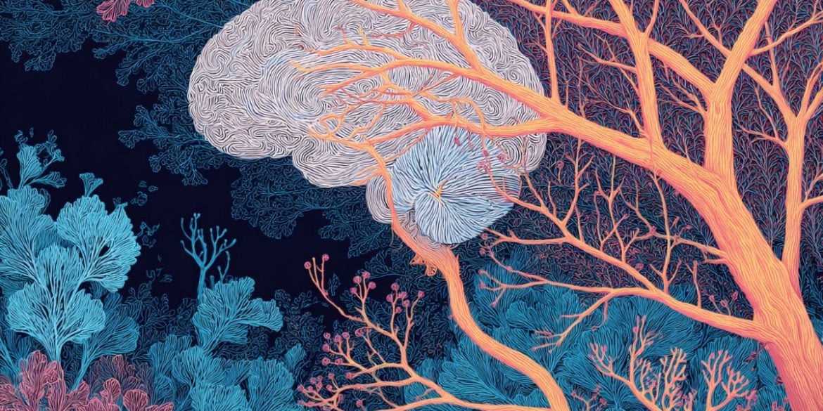 This shows a brain and neurons.
