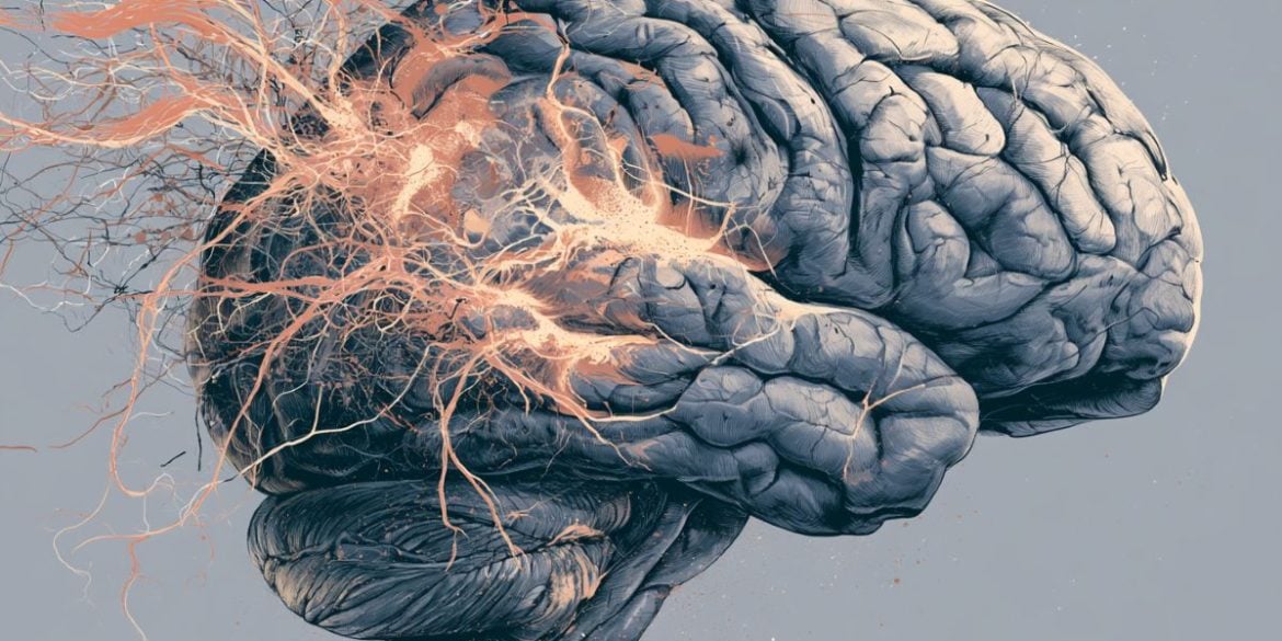 This shows a brain.