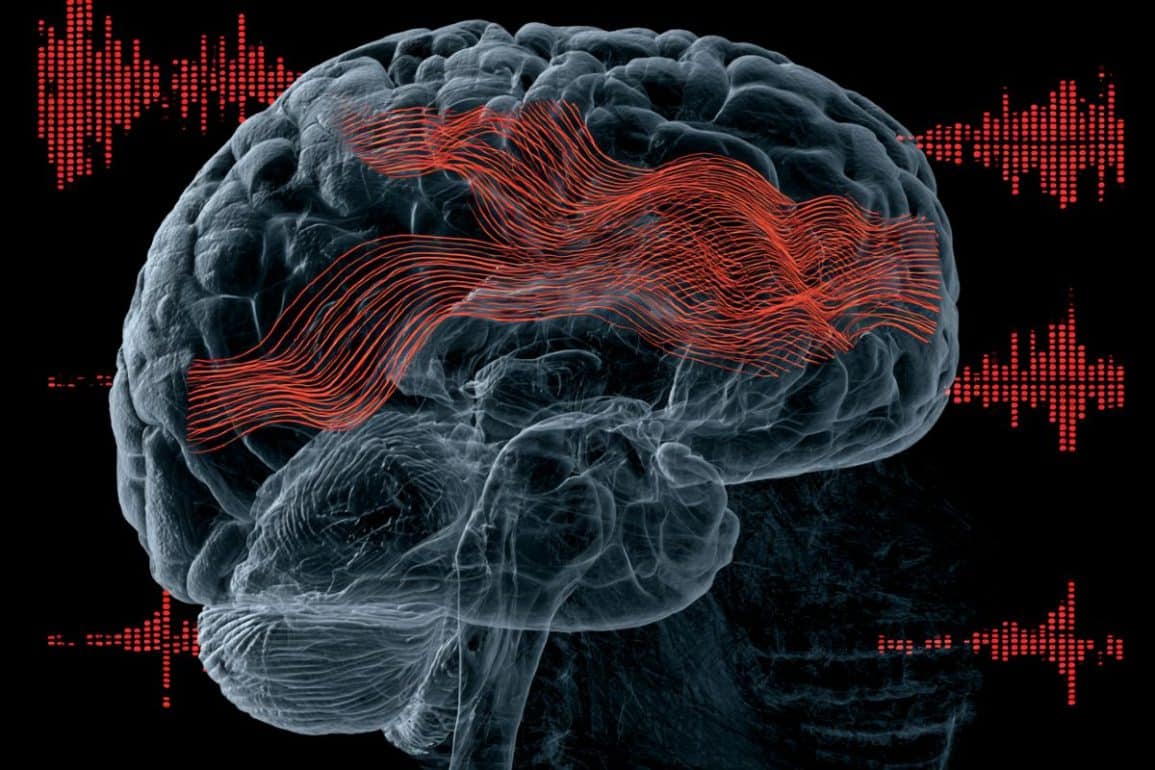 Frontal Cortex Maps and Controls Visual and Auditory Attention Shifts