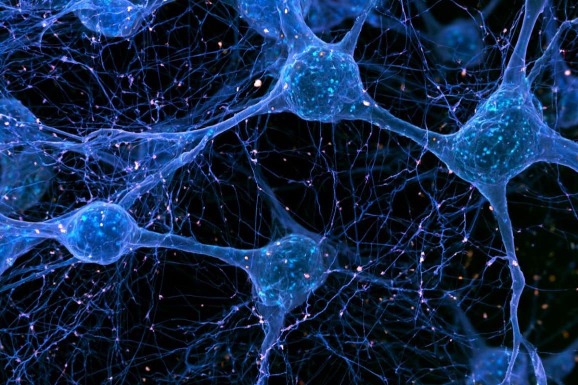 Disrupted Neuronal Microexons Drive Hyperarousal and Insomnia