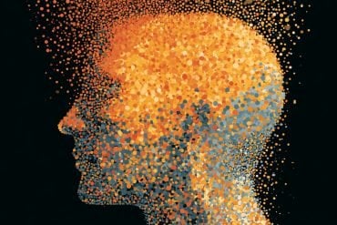 This shows a person's head.