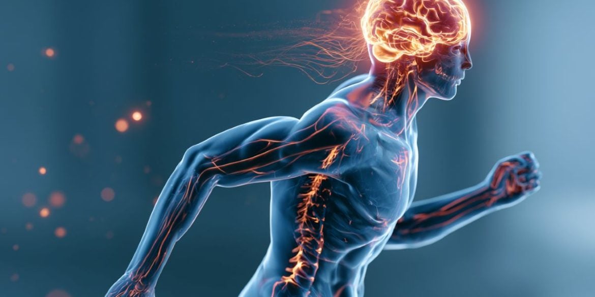 This shows a person running and a brain.