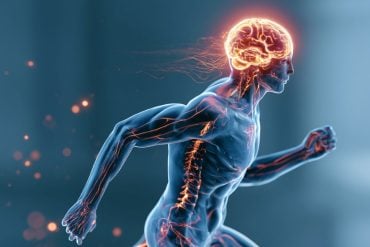 This shows a person running and a brain.