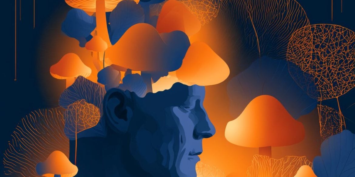 This shows a head and magic mushrooms.
