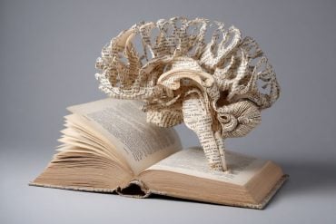 This shows a book and a brain made out of paper.