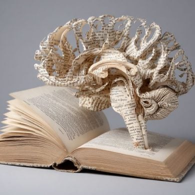 This shows a book and a brain made out of paper.