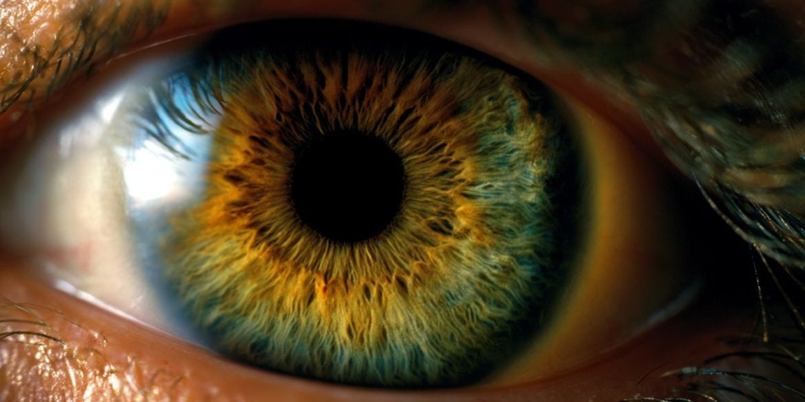 This shows an eye.