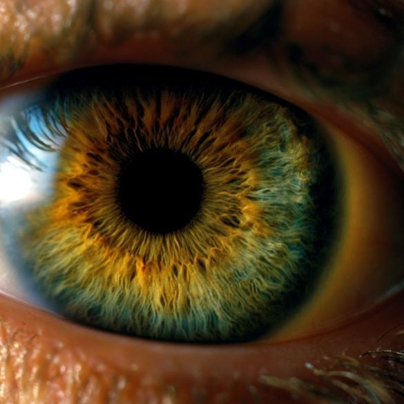 This shows an eye.