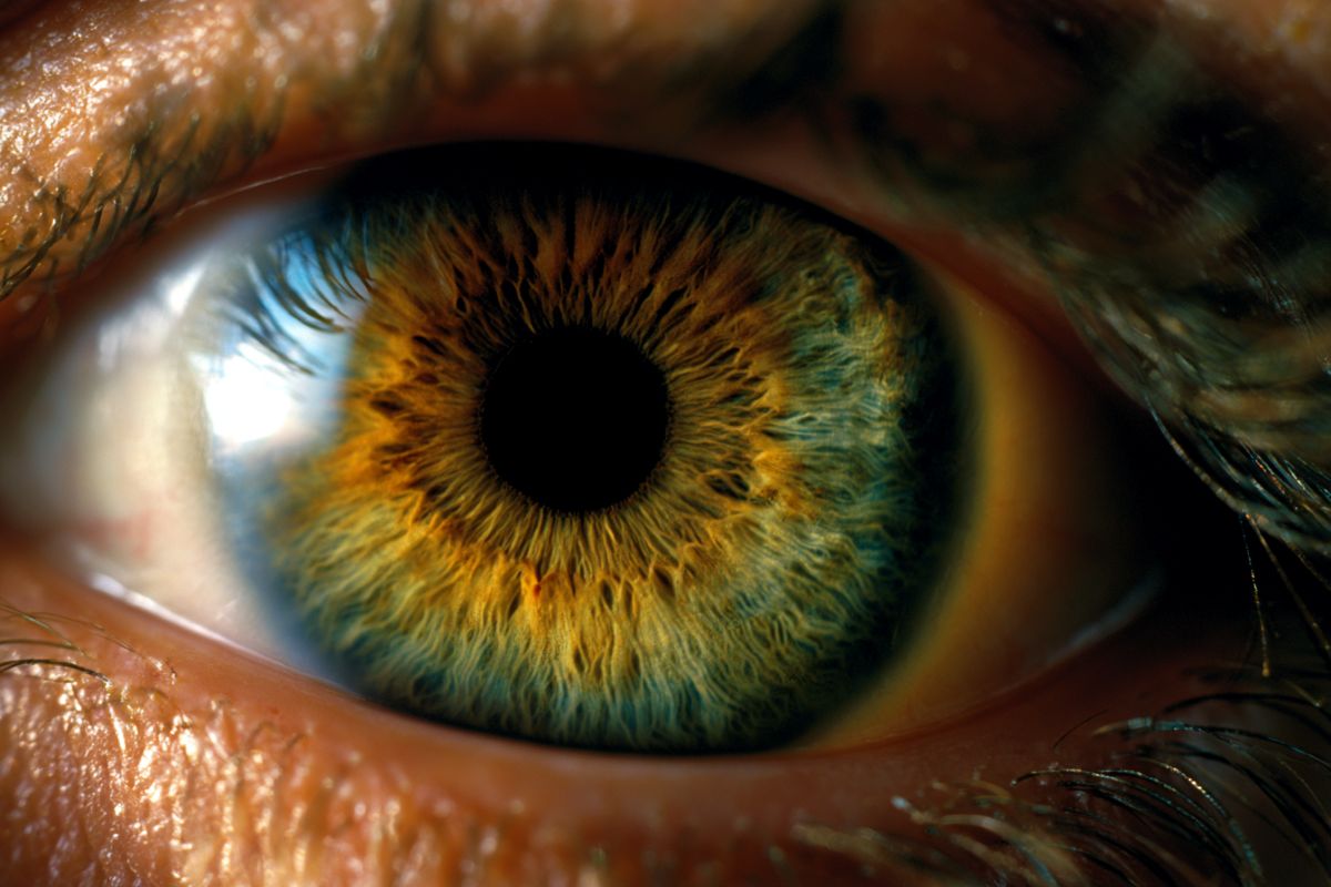 This shows an eye.